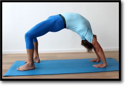 Wirkungen des Yogas
